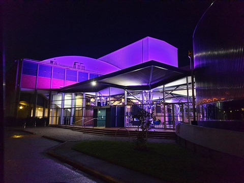 Darebin Arts Centre external hibiscus lights at night