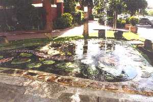 A fountain pool with stone steps on a summers day