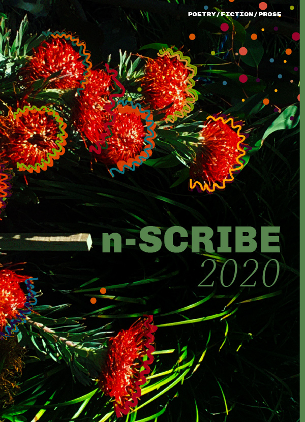 Magazine cover artwork, depicting a dark photo of flowers with coloured lines and dots drawn playfully around the petal edges