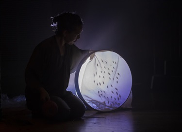 A woman crouches next to a drum head, lit from behind. Shadow puppets of various shapes project onto the drum head.
