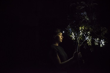A person wears a head torch and holds a tree branch in front of their face. Behind them is a dark background.