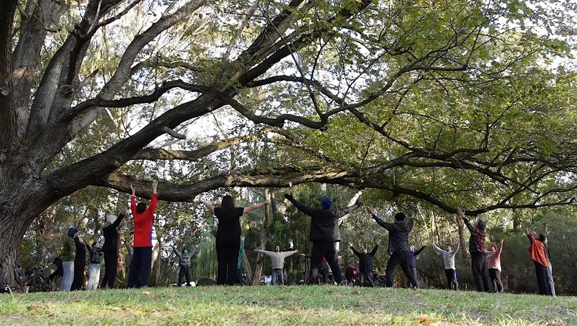 A group of people standing under a tree stretch their arms out 