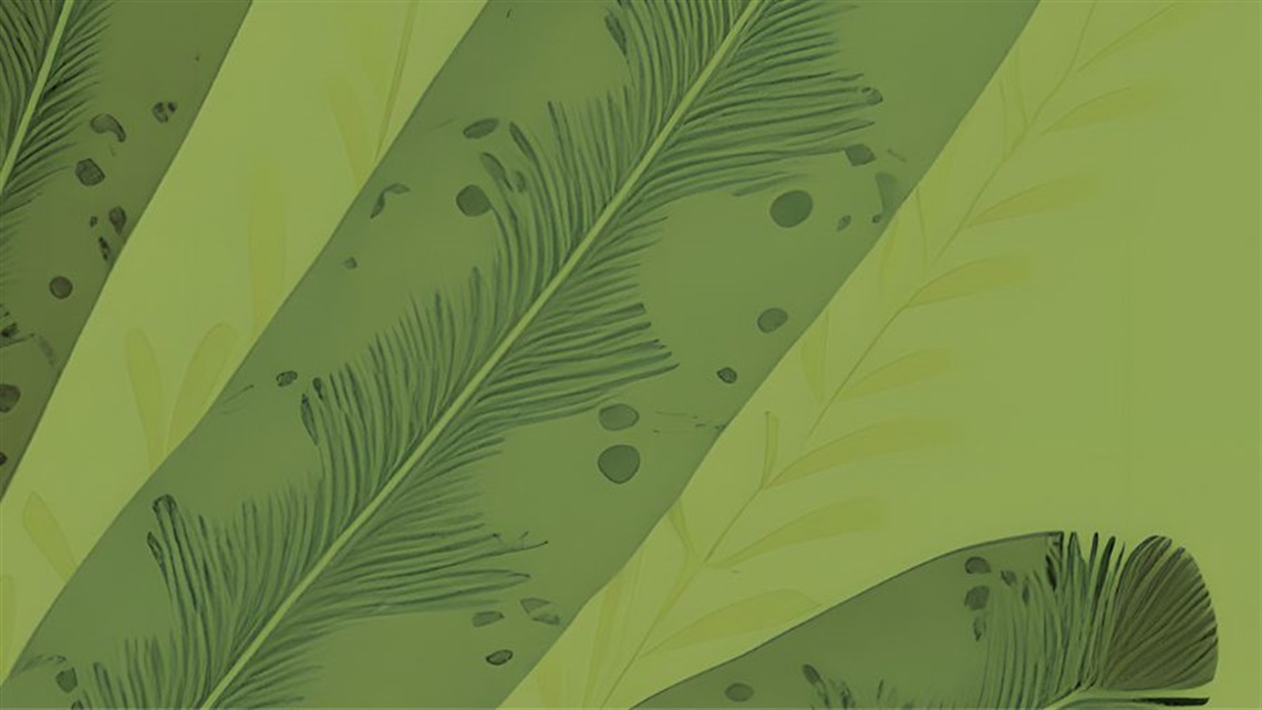 A sketch of plant leaves close up on a green backdrop.