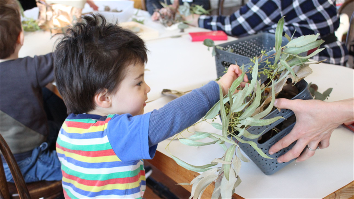 A child reaches into a basket of gum leaves in an art workshop