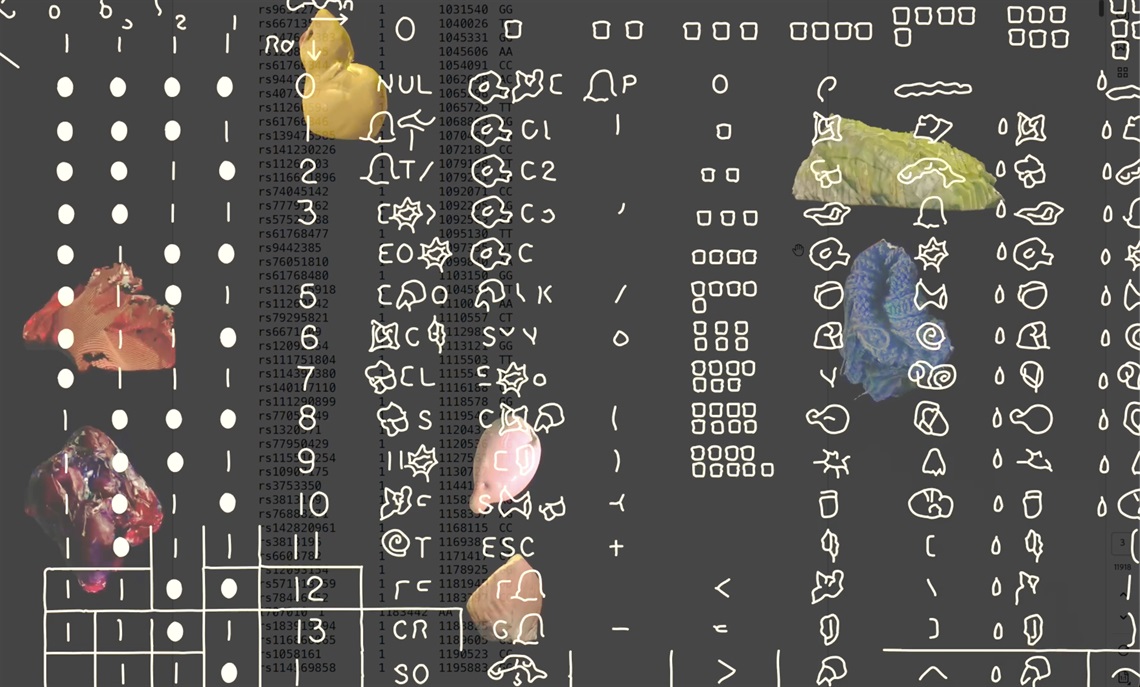Corinna Berndt, jpg Fossils, 2025, concept screenshot, dimensions variable. Courtesy the artist.jpg